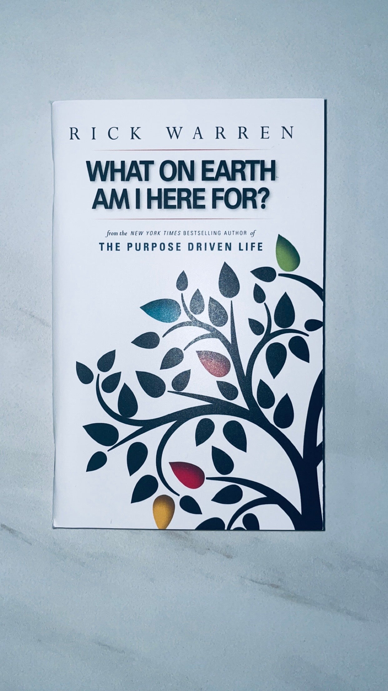 The Purpose Driven Life: What on Earth Am I Here For?